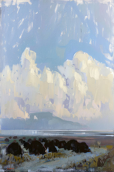 Bog Scene