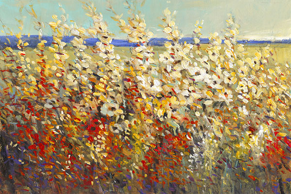 Field of Spring Flowers II
