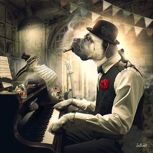 Chien piano