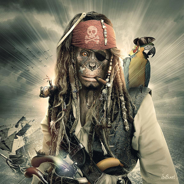 Primates des Caraibes